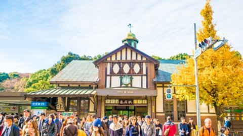 Foto&nbsp;tickcharoen04/Shutterstock.com