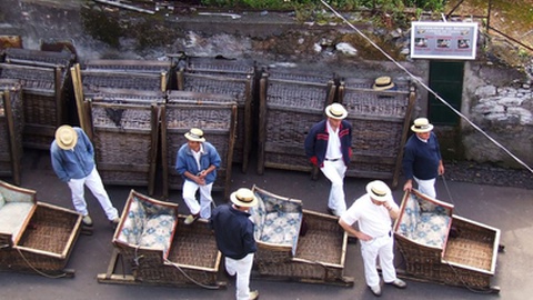 Foto&nbsp; Pavel Svoboda Photography / Shutterstock.com