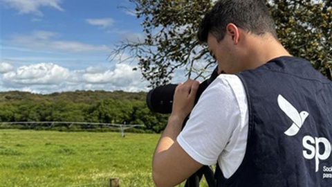 Foto DR/Diana Dias/SPEA