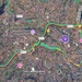Foto Google Maps