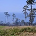 Foto Rui Silva/Aspress