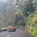 Foto DR/Tiago Alves