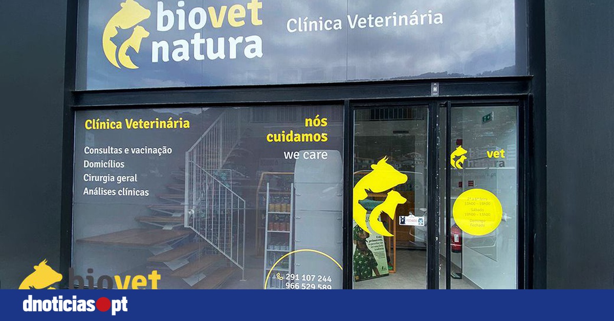 DNOTICIAS.PT