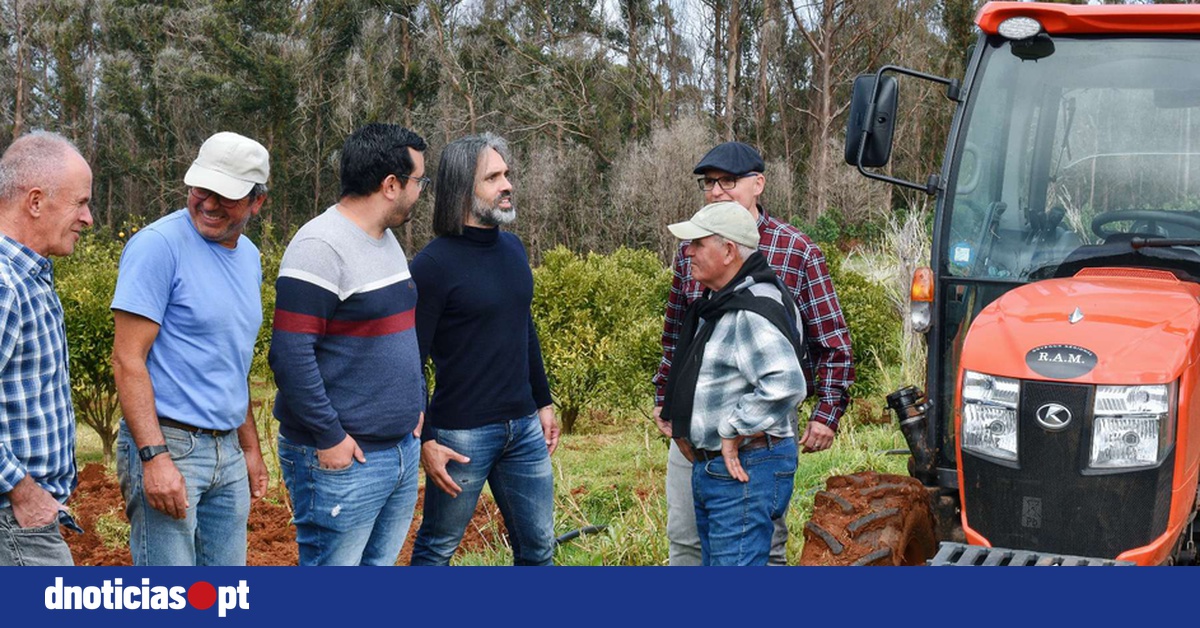 DNOTICIAS.PT
