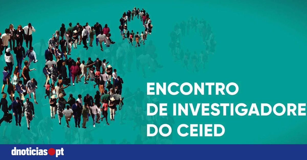 DNOTICIAS.PT