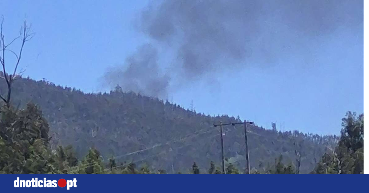 DNOTICIAS.PT