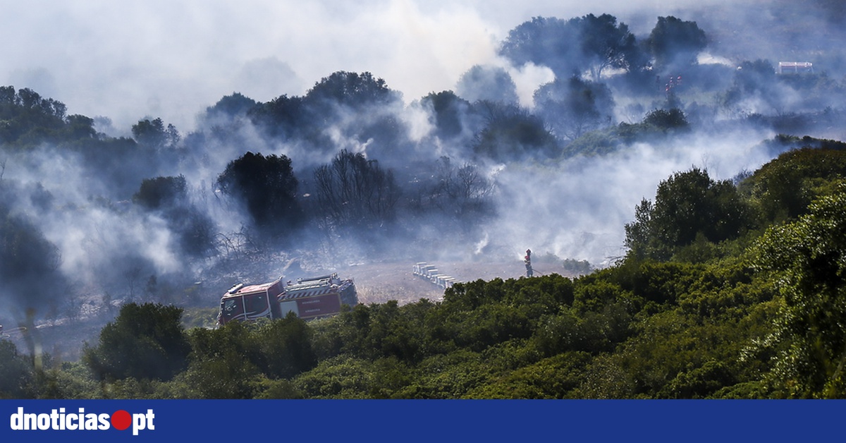 Mais De 70 Concelhos De 11 Distritos De Portugal Em Perigo Máximo De Incêndio — Dnoticiaspt 6872