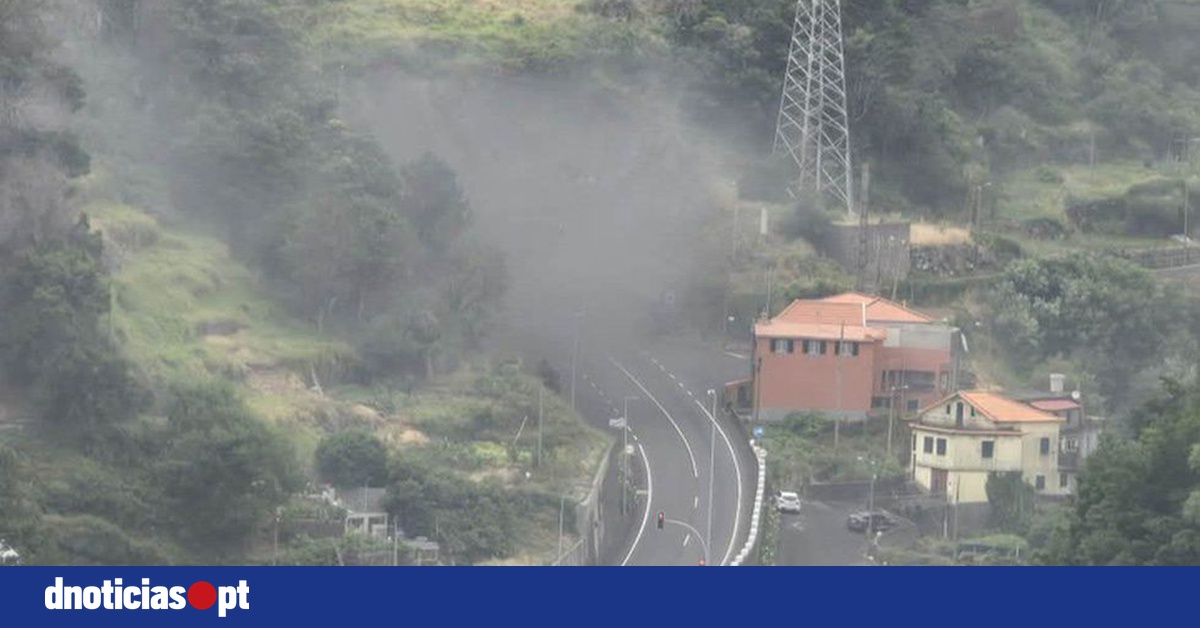 DNOTICIAS.PT