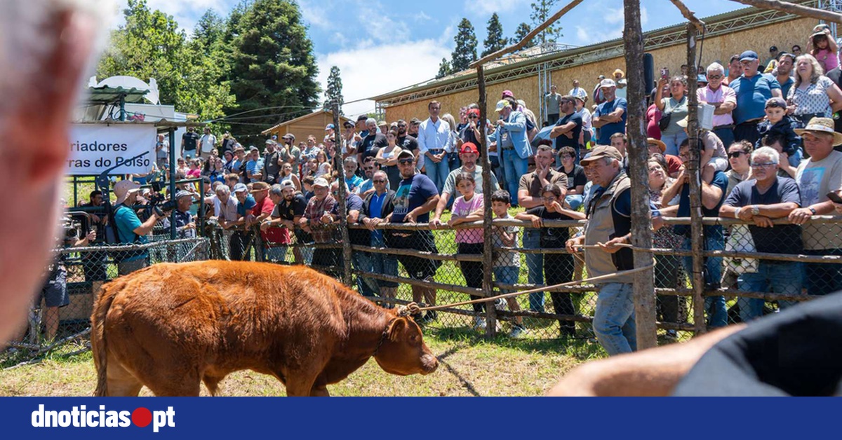 O secretário regional de Agricultura licitou um animal na Feira?
