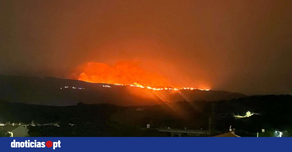 DNOTICIAS.PT