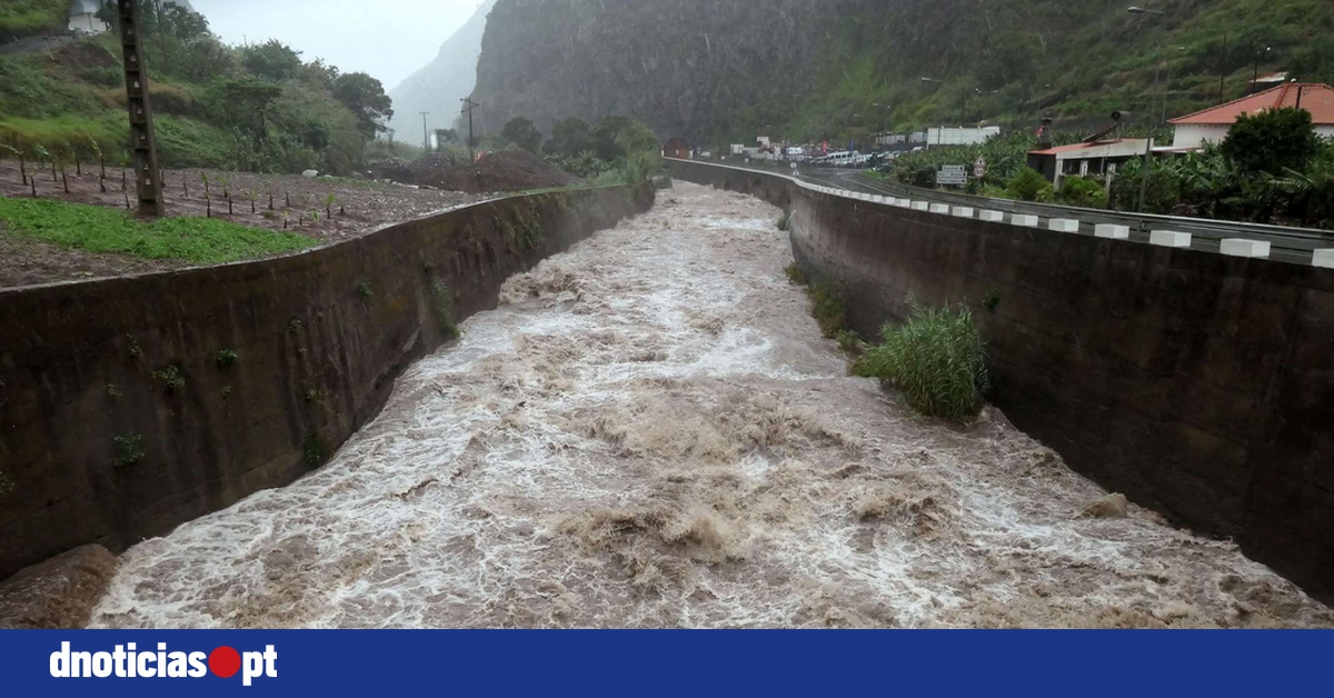 DNOTICIAS.PT