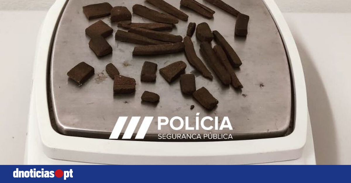 DNOTICIAS.PT