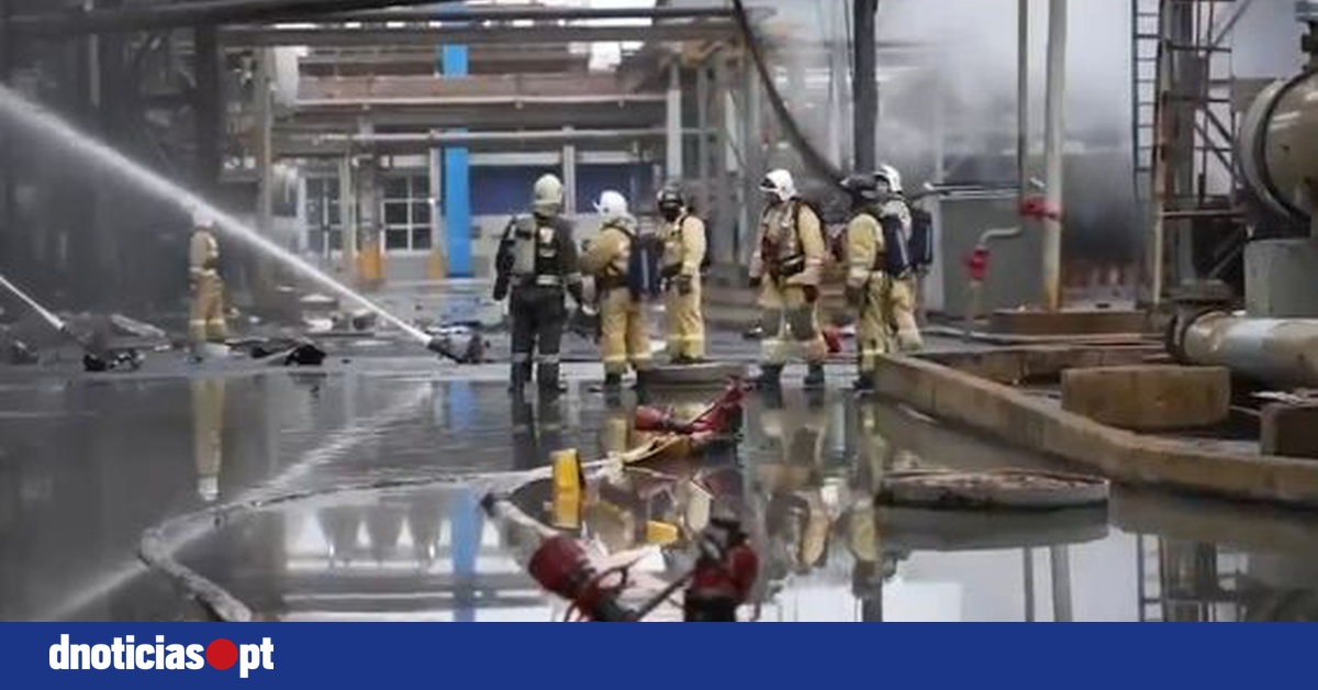DNOTICIAS.PT