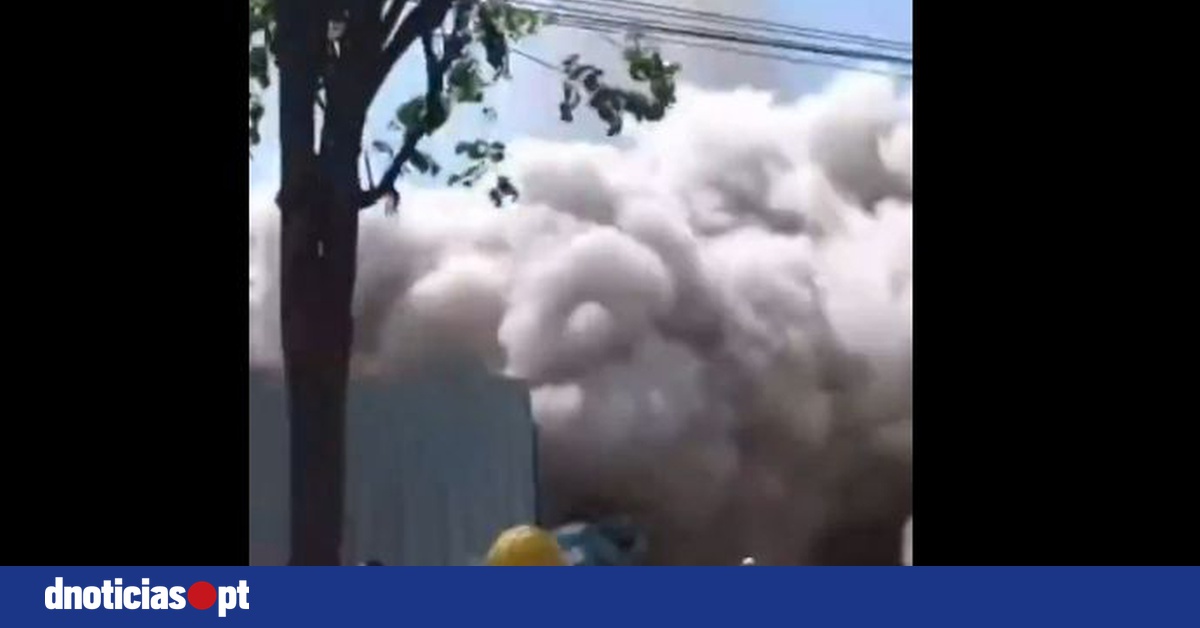 DNOTICIAS.PT