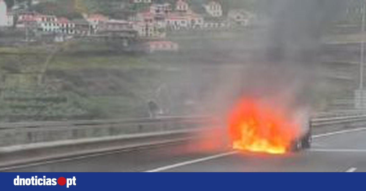 DNOTICIAS.PT