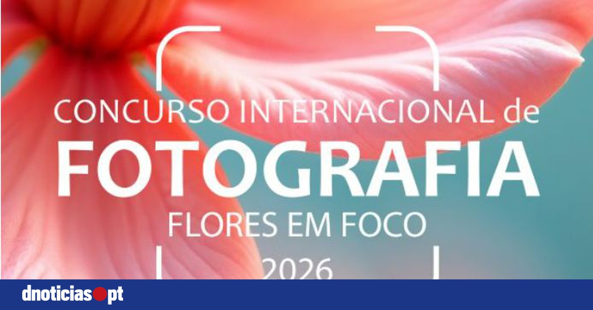 DNOTICIAS.PT