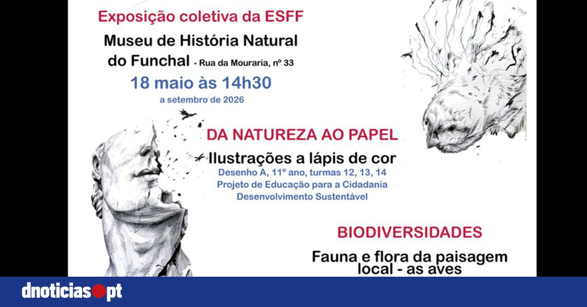 DNOTICIAS.PT