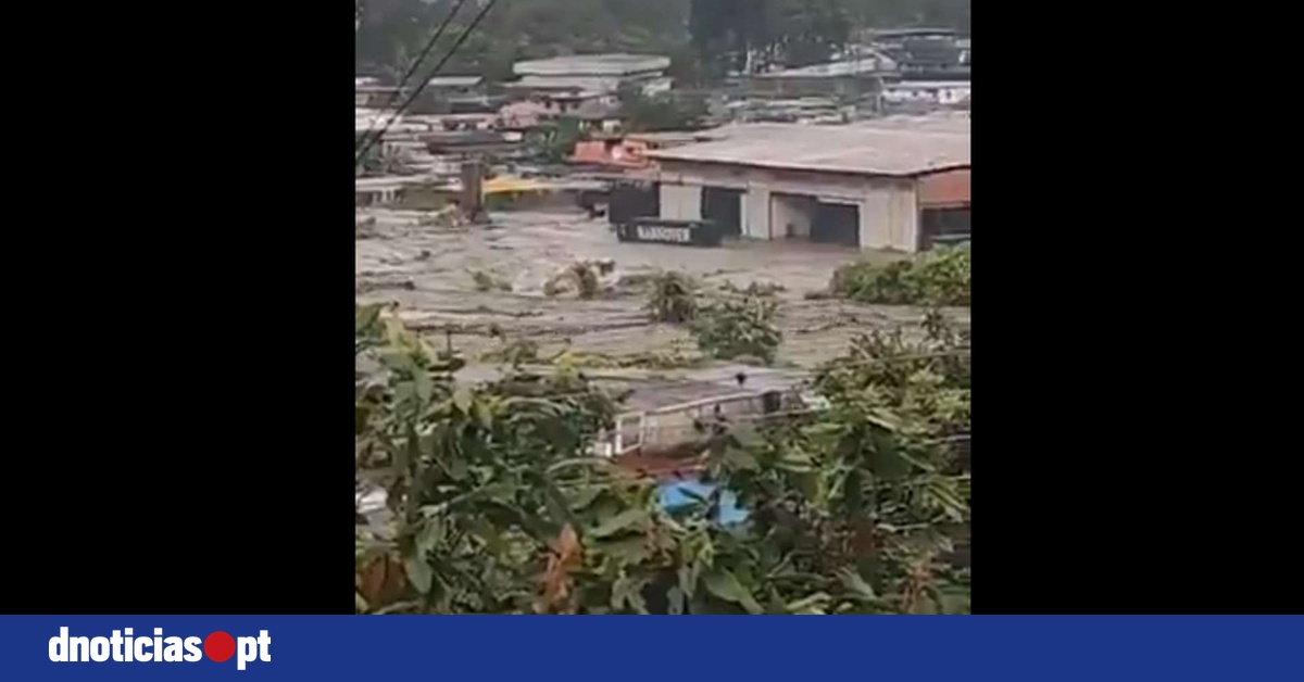 DNOTICIAS.PT