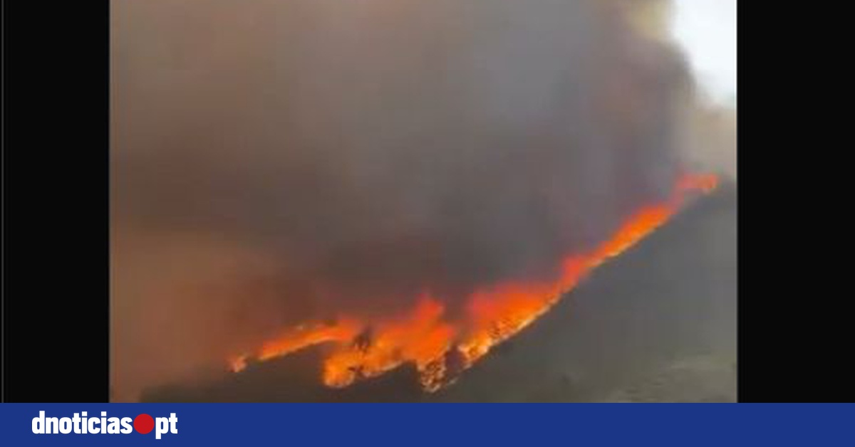 DNOTICIAS.PT