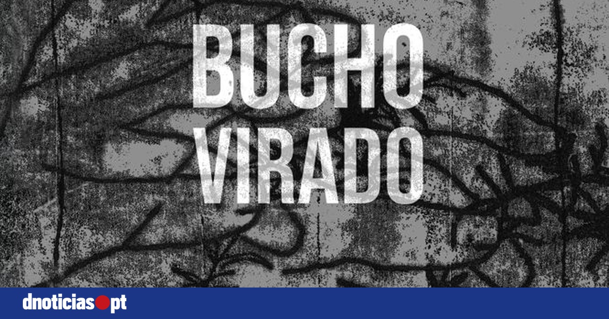 DNOTICIAS.PT