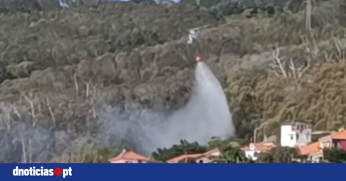 DNOTICIAS.PT