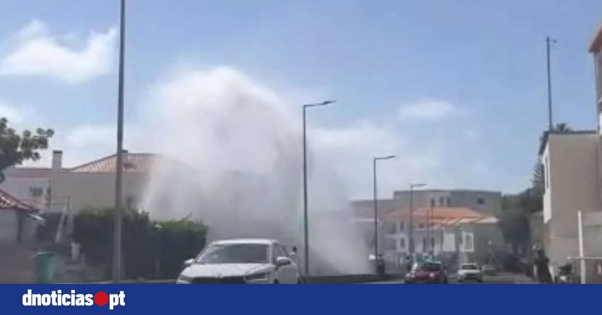DNOTICIAS.PT