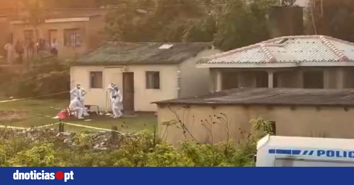 DNOTICIAS.PT