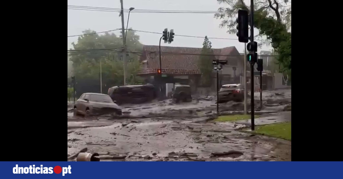 DNOTICIAS.PT