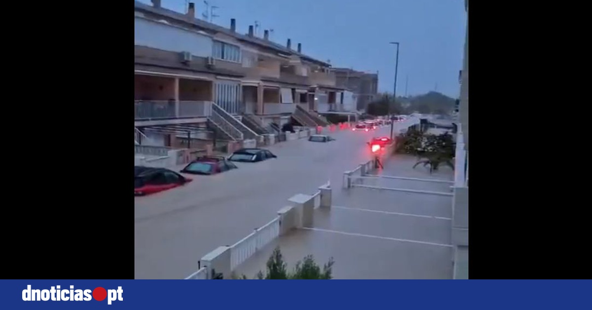 DNOTICIAS.PT