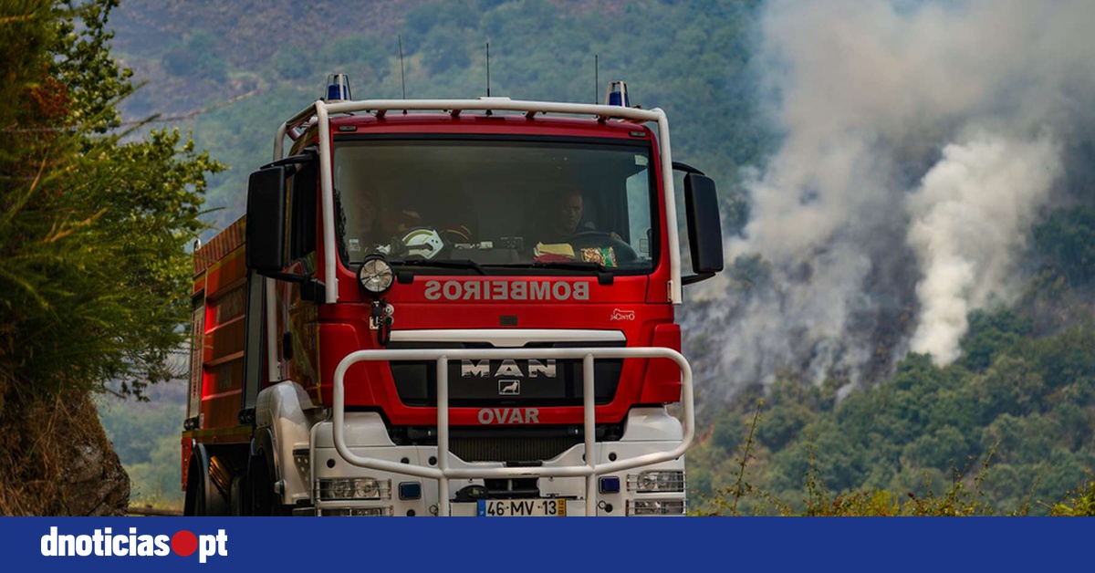 DNOTICIAS.PT