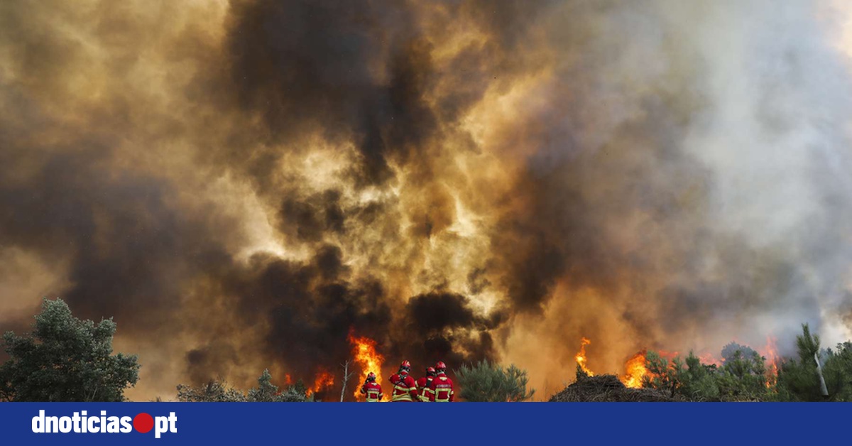 DNOTICIAS.PT