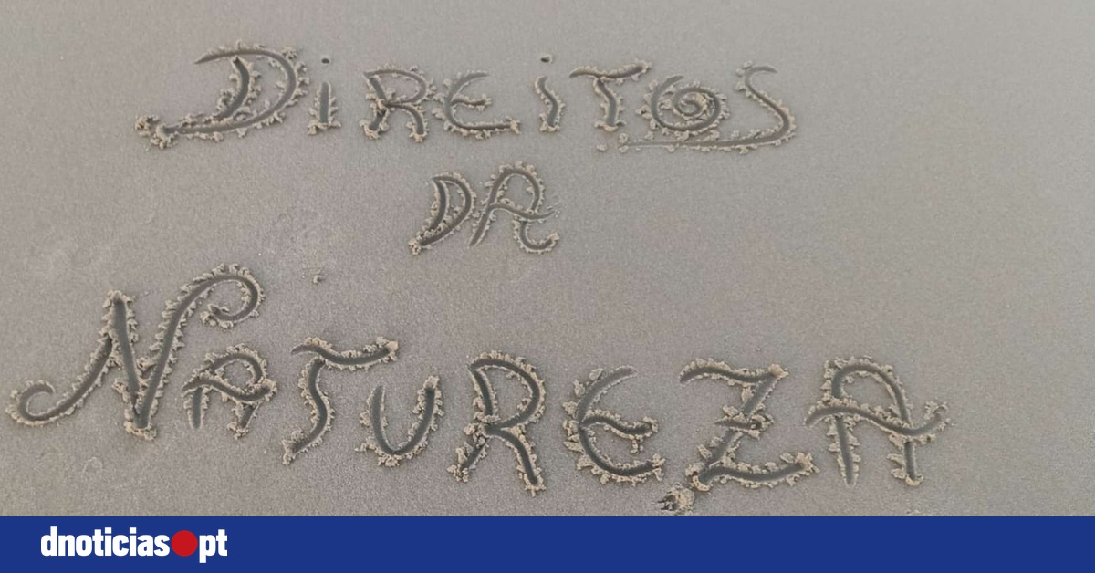 DNOTICIAS.PT