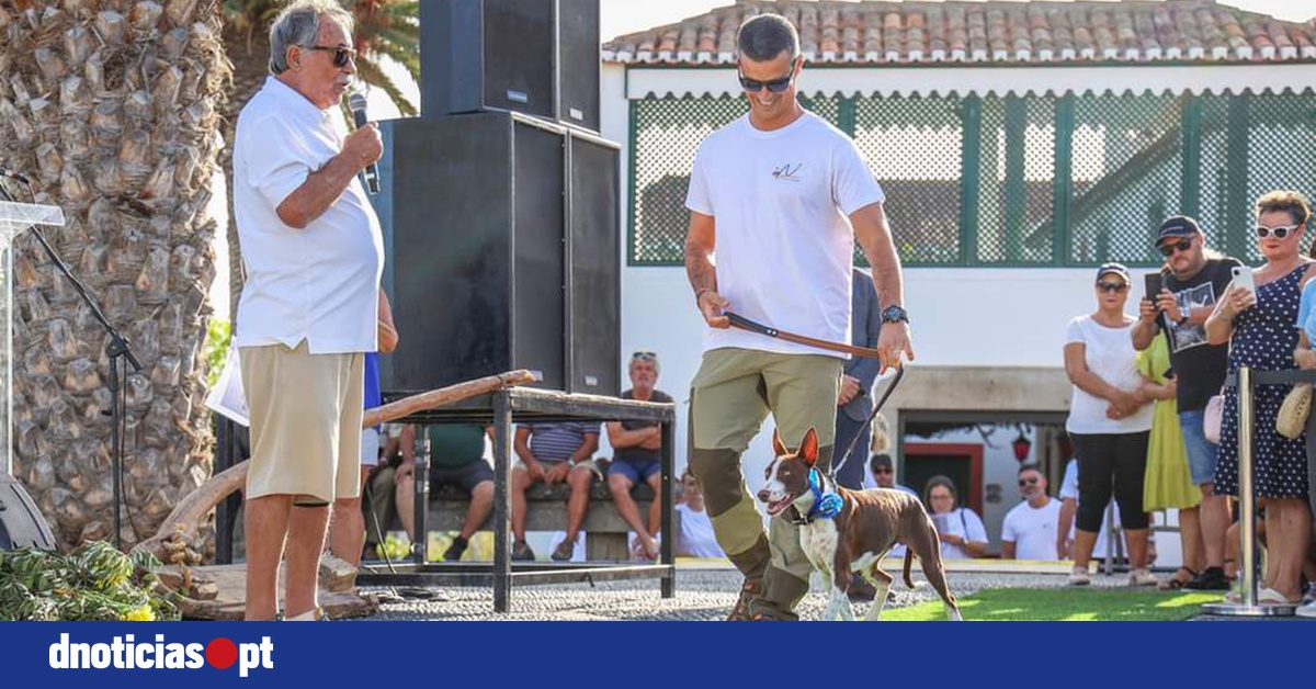 DNOTICIAS.PT