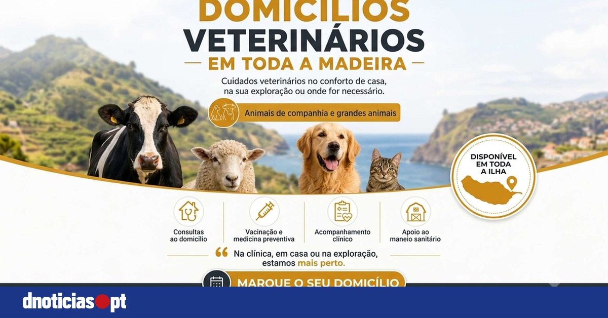 DNOTICIAS.PT