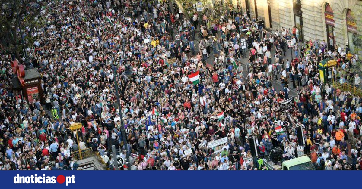 DNOTICIAS.PT