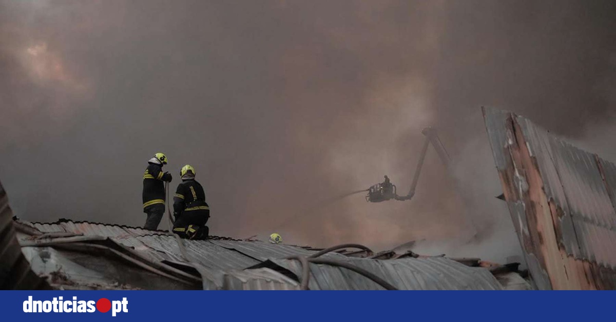 DNOTICIAS.PT