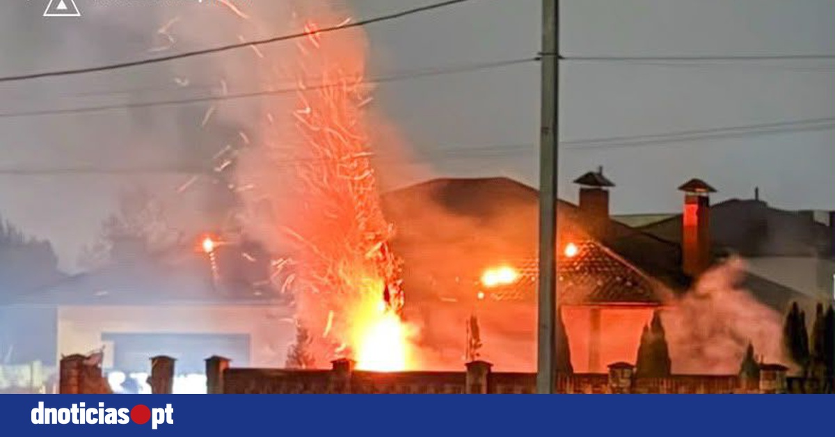 DNOTICIAS.PT