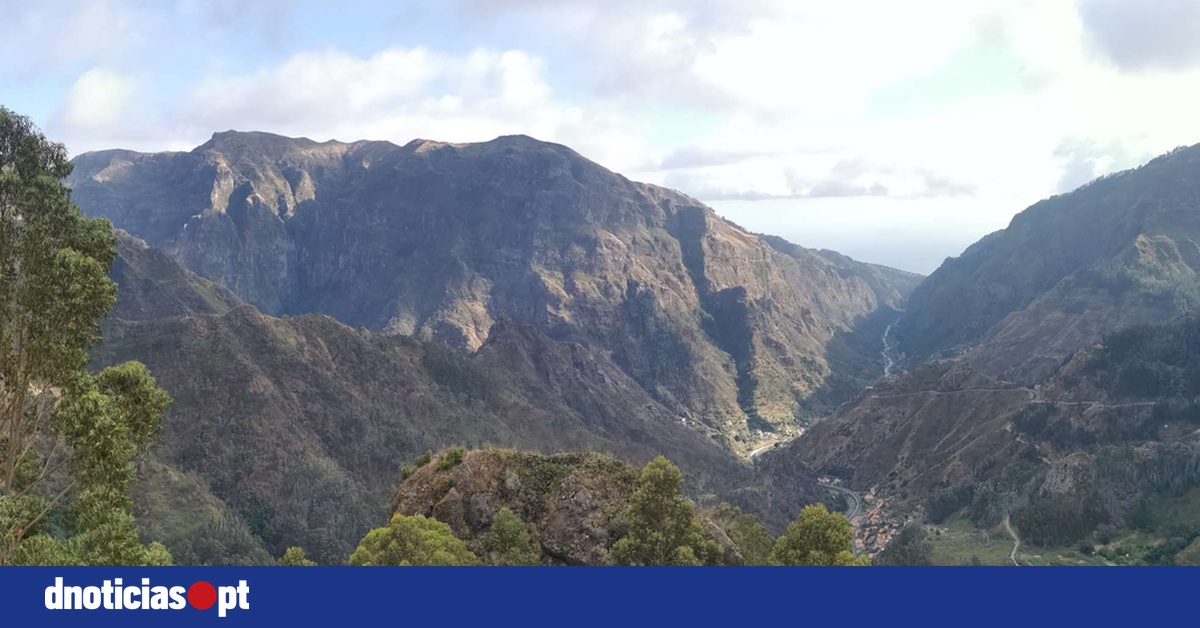 DNOTICIAS.PT