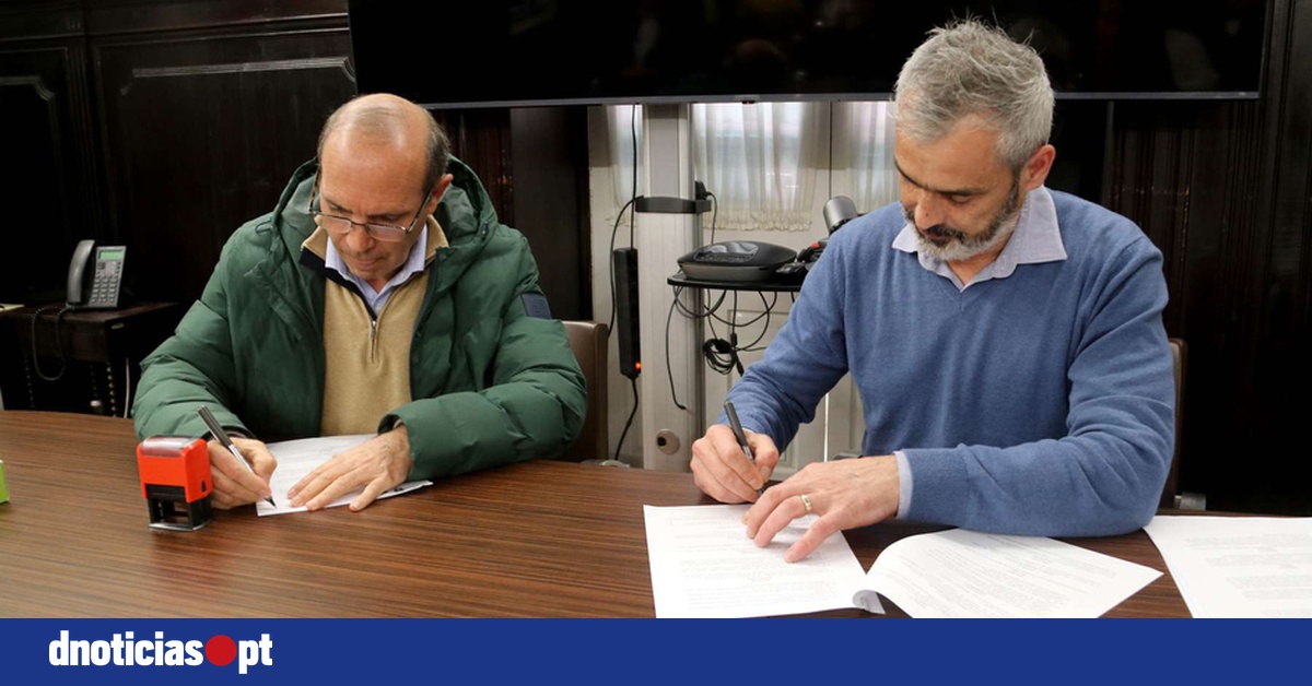 DNOTICIAS.PT