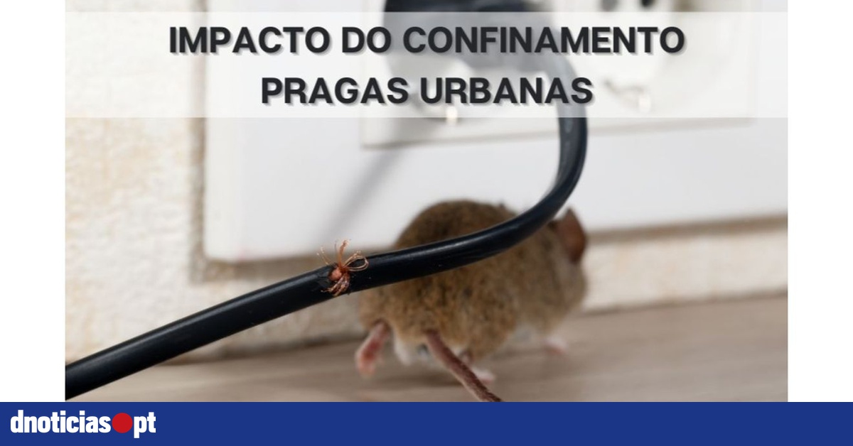Forneça Uma Explicação Para O Aumento Das Pragas Urbanas