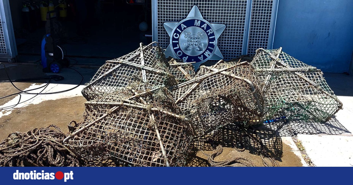 pol-cia-mar-tima-apreende-seis-armadilhas-de-pesca-na-costa-sul-da