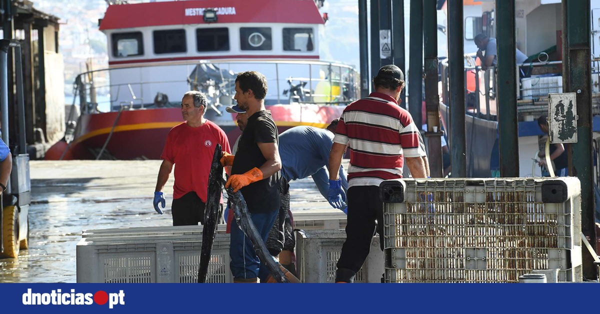 DNOTICIAS.PT