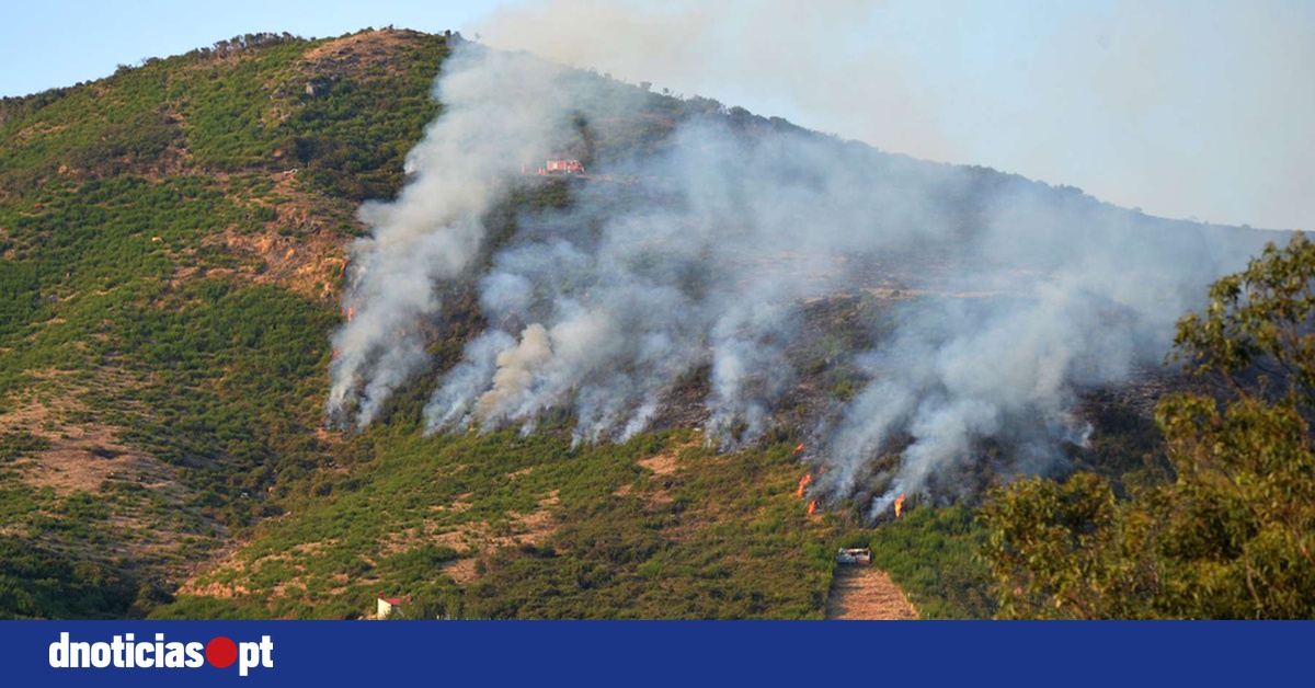 DNOTICIAS.PT