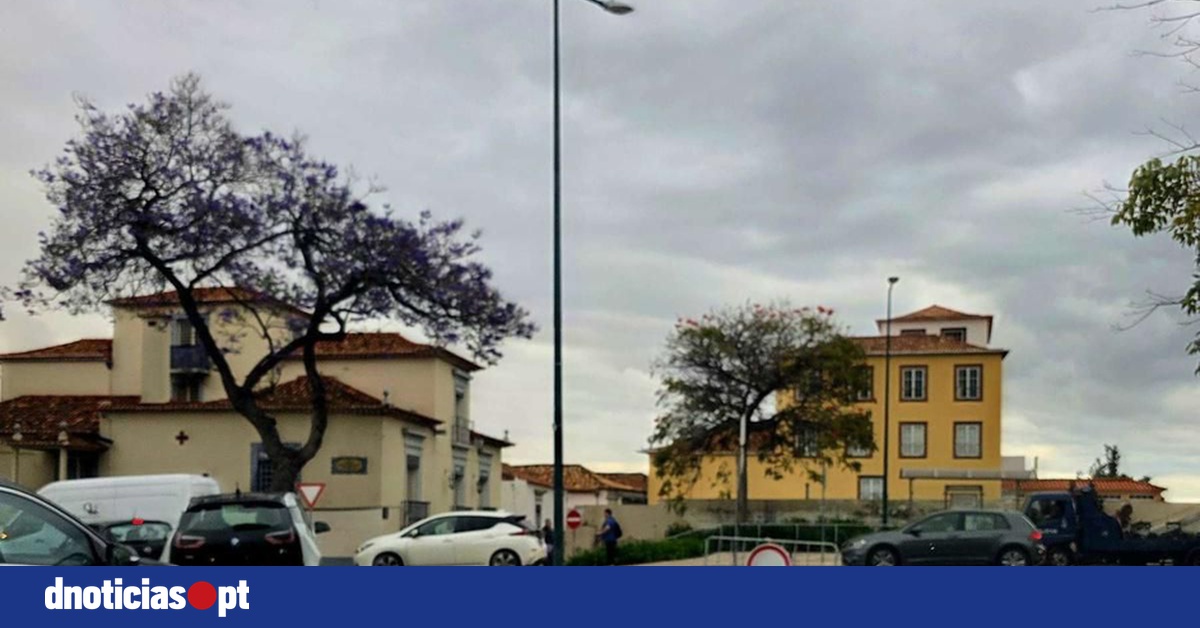 DNOTICIAS.PT