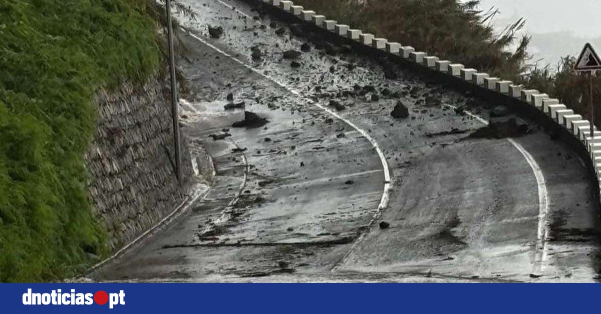 DNOTICIAS.PT