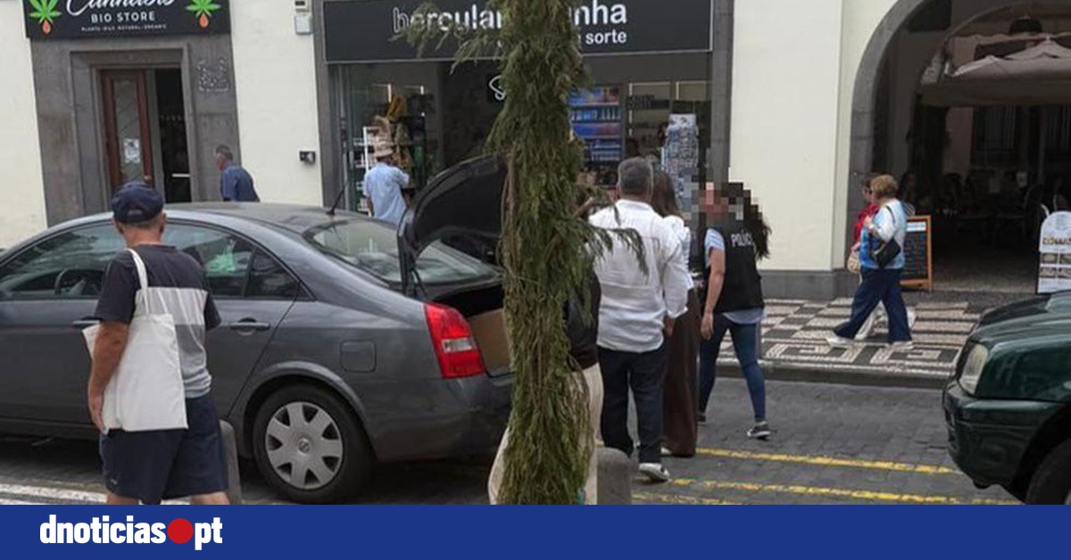 DNOTICIAS.PT
