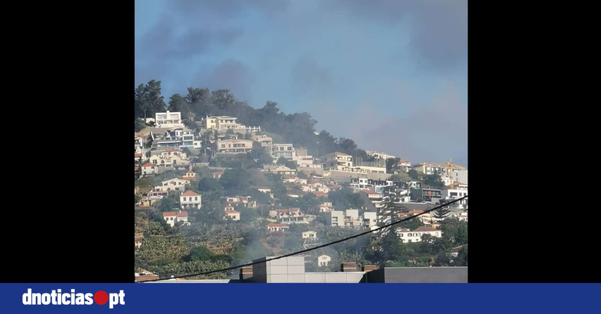 DNOTICIAS.PT