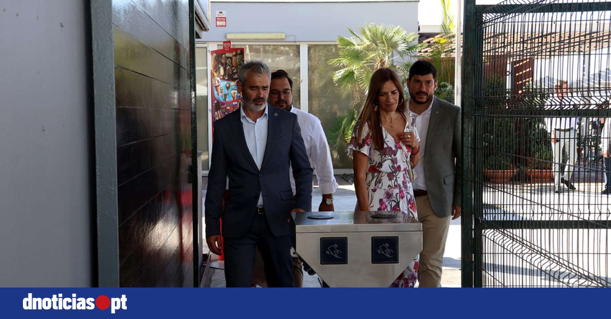 DNOTICIAS.PT