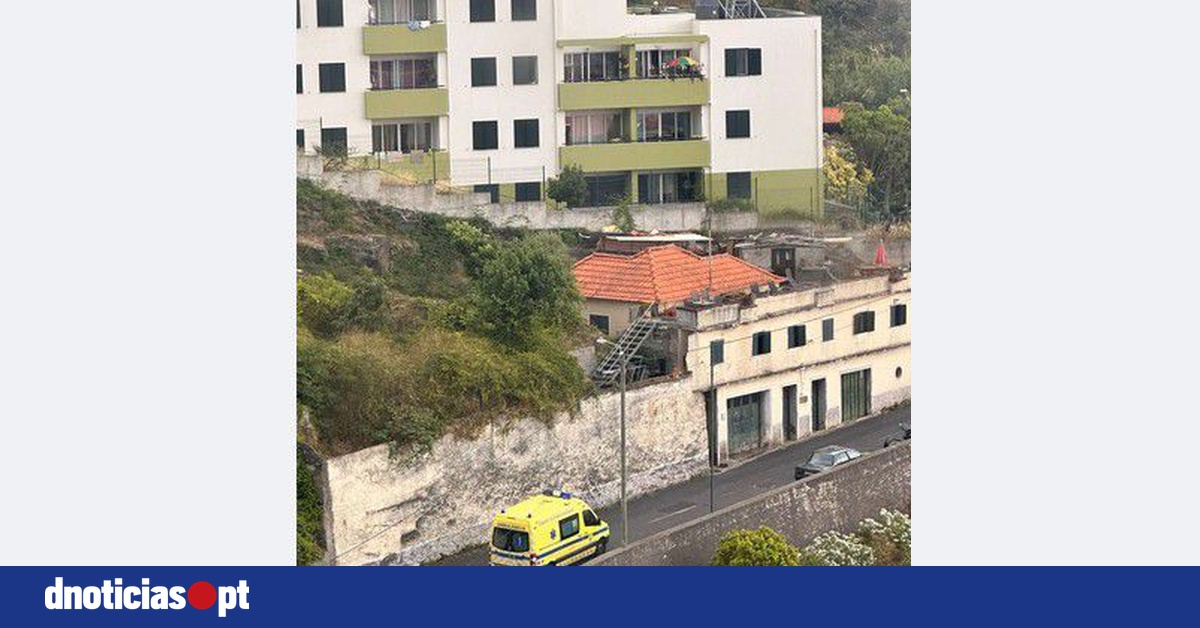 DNOTICIAS.PT