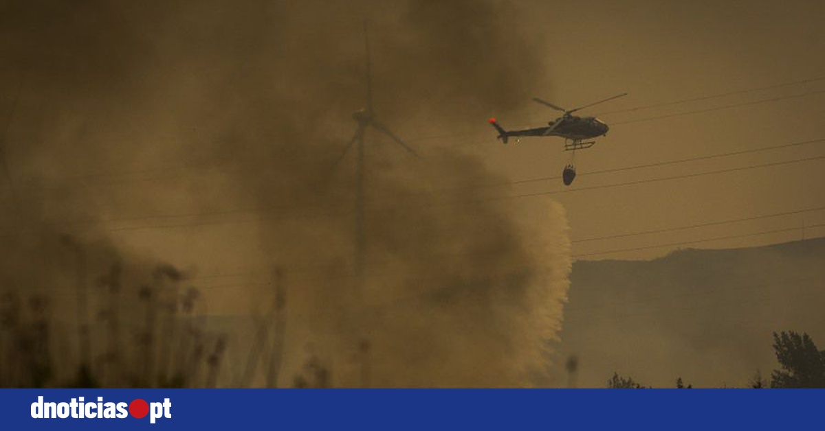 DNOTICIAS.PT